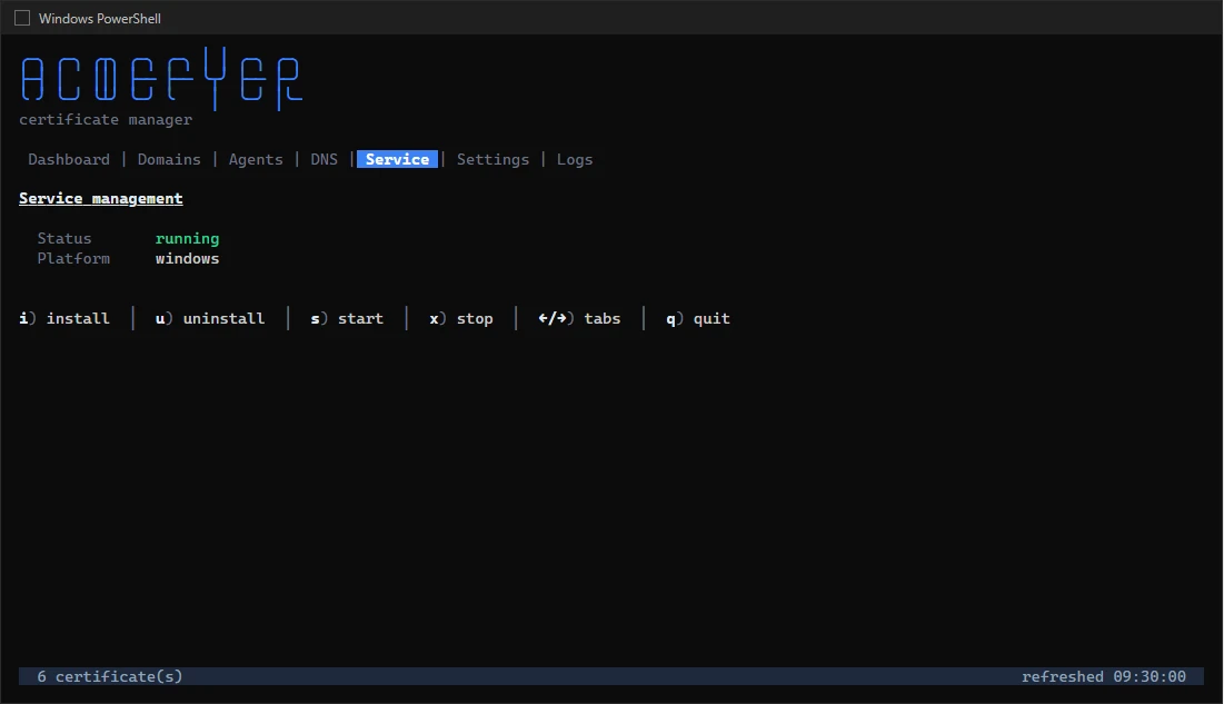 The Service tab in the console window